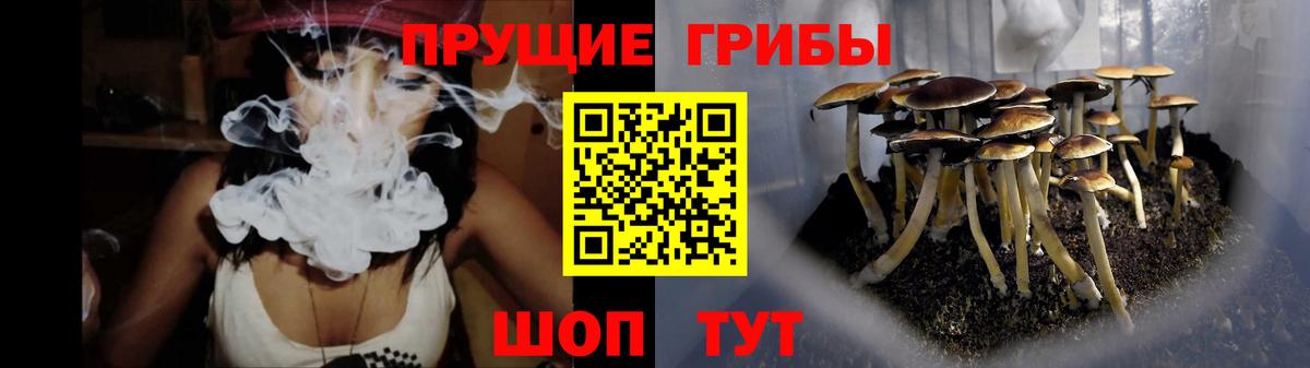 Качканар  Псилоцибиновые грибы прущие грибы  Вход с VPN 